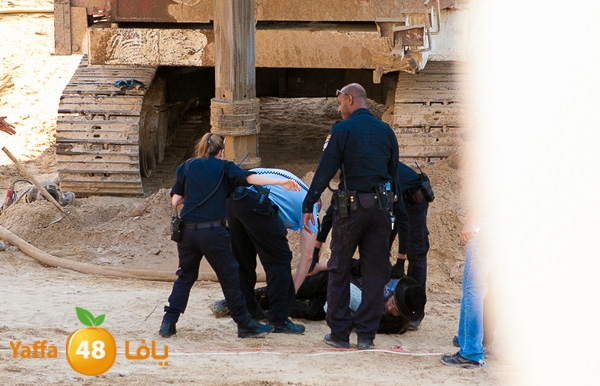 haradeem france hos 629 (5).jpg